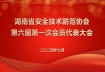 湖南省安全技术防范协会第六届第一次会员代表大会暨换届选举大会——圆满完成换届选举，携手共绘智慧安防新篇章